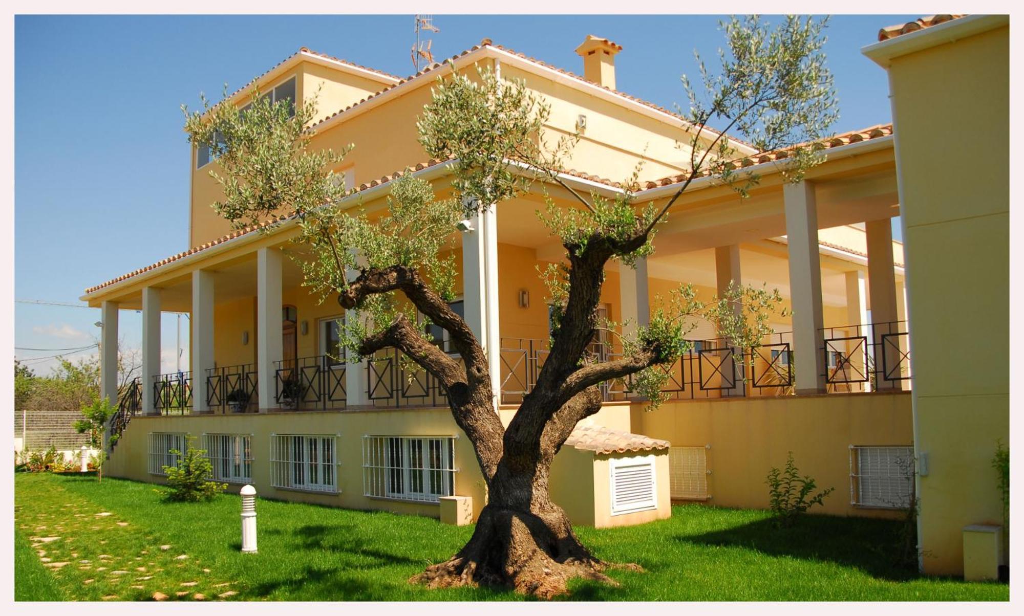 Luz De Azahar Bed And Breakfast Peñíscola Exterior foto